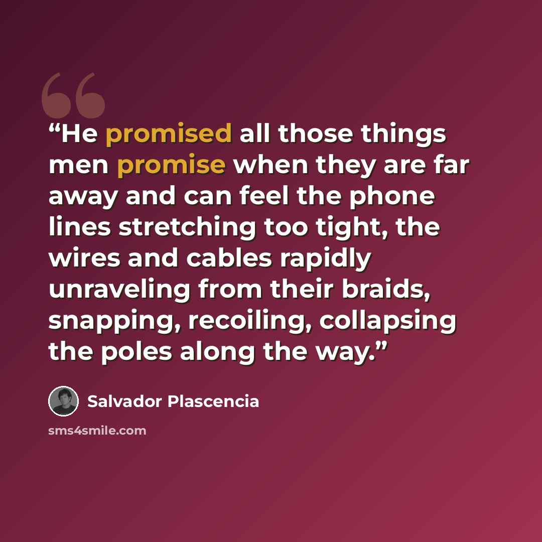 “He promised all those things men promise when they are far away and can feel the phone lines stretching too tight, the wires and cables rapidly unraveling from their braids, snapping, recoiling, collapsing the poles along the way.” quote by Salvador Plascencia