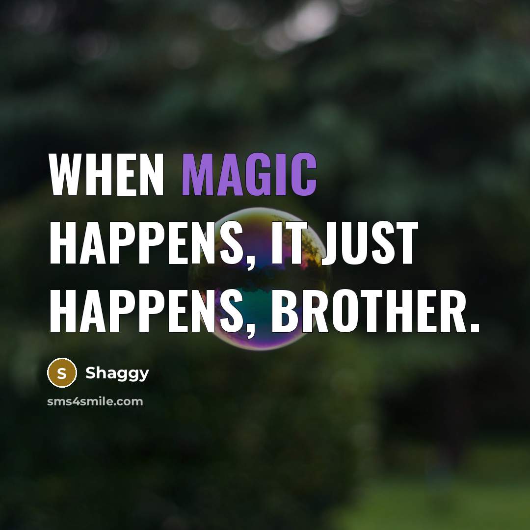“When magic happens, it just happens, brother.” quote by Shaggy