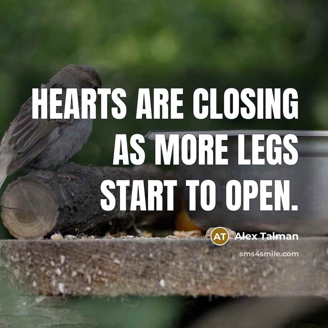 “Hearts are closing as more legs start to open.” quote by Alex Talman