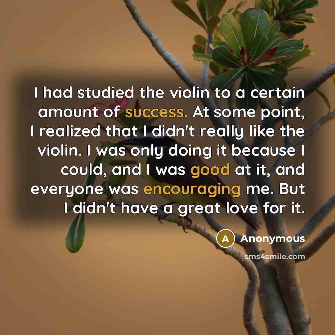 “I had studied the violin to a certain amount of success. At some point, I realized that I didn't really like the violin. I was only doing it because I could, and I was good at it, and everyone was encouraging me. But I didn't have a great love for it.” quote by Anonymous