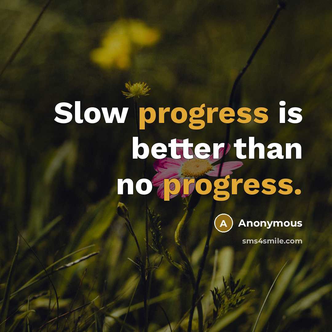 “Slow progress is better than no progress.” quote by Anonymous