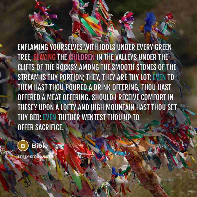 “Enflaming yourselves with idols under every green tree, slaying the children in the valleys under the clifts of the rocks? Among the smooth stones of the stream is thy portion; they, they are thy lot: even to them hast thou poured a drink offering, thou hast offered a meat offering. Should I…” quote by Bible