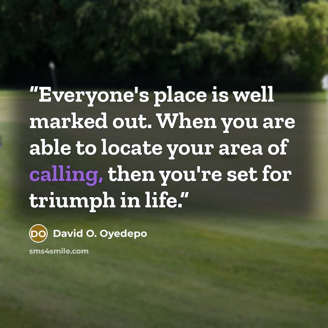 “Everyone's place is well marked out. When you are able to locate your area of calling, then you're set for triumph in life.” quote by David O. Oyedepo
