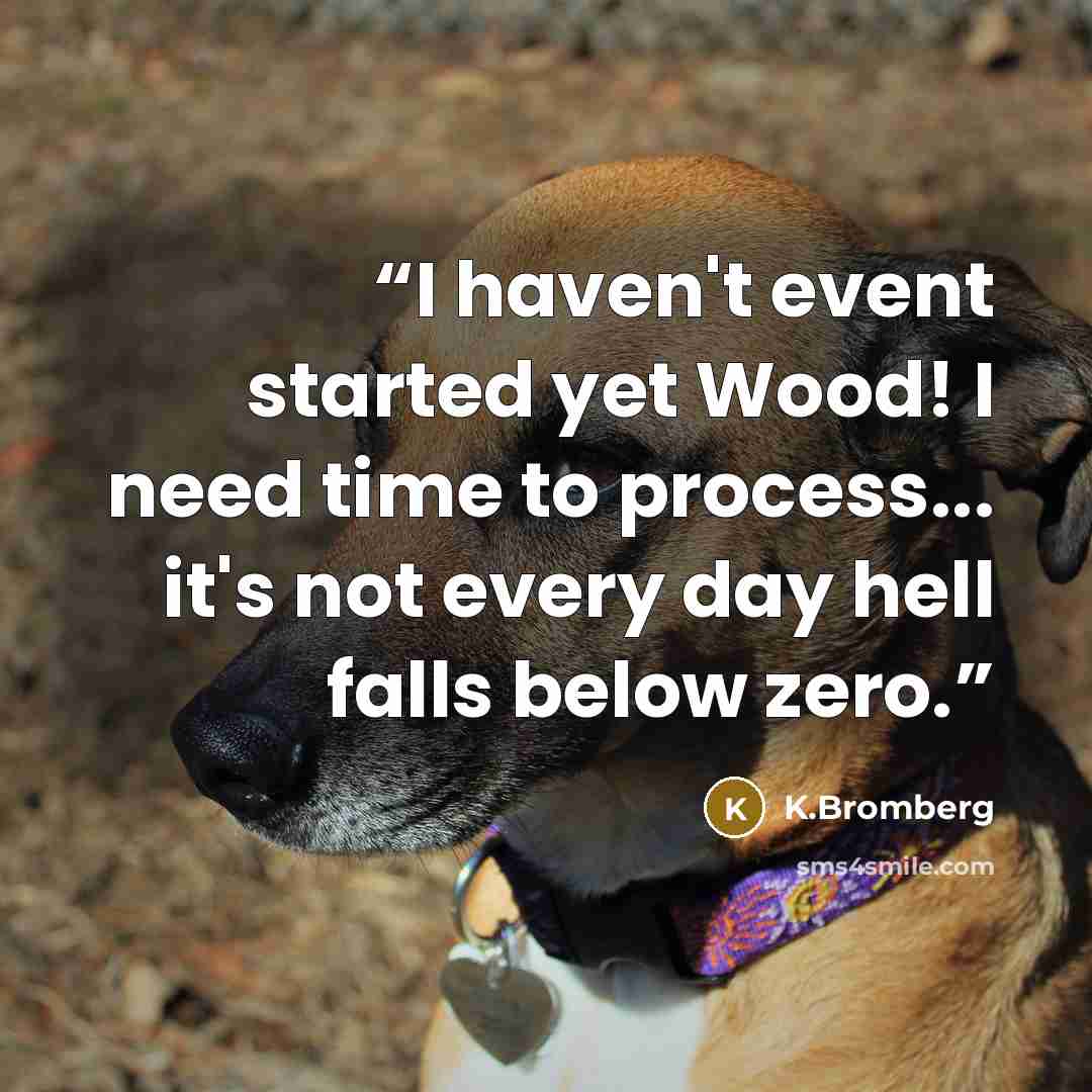 “I haven't event started yet Wood! I need time to process... it's not every day hell falls below zero.” quote by K.Bromberg