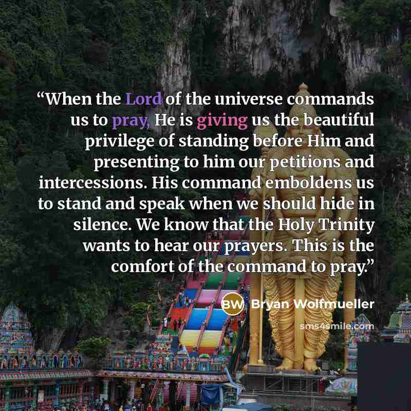 “When the Lord of the universe commands us to pray, He is giving us the beautiful privilege of standing before Him and presenting to him our petitions and intercessions. His command emboldens us to stand and speak when we should hide in silence. We know that the Holy Trinity wants to hear our…” quote by Bryan Wolfmueller