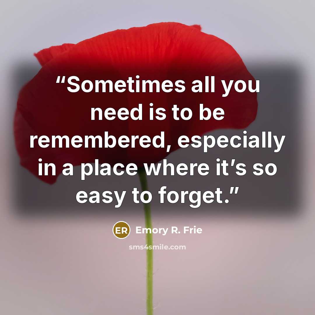 “Sometimes all you need is to be remembered, especially in a place where it’s so easy to forget.” quote by Emory R. Frie