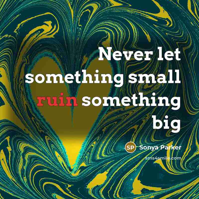 “Never let something small ruin something big” quote by SONYA PARKER