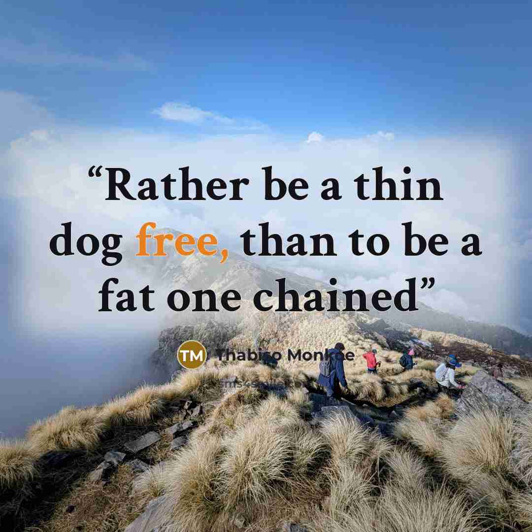 “Rather be a thin dog free, than to be a fat one chained” quote by Thabiso Monkoe
