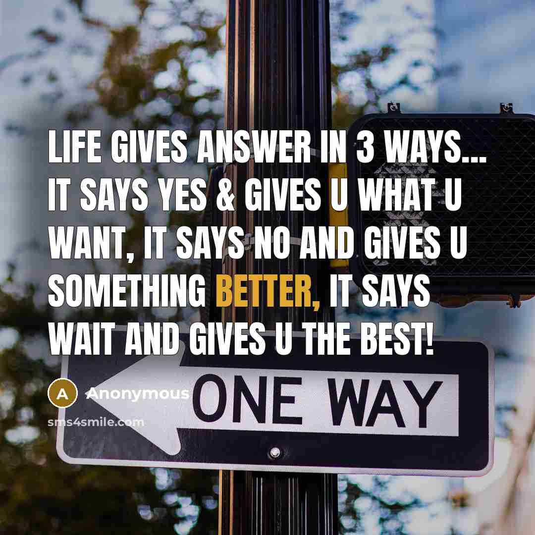 “Life gives answer in 3 ways... It says Yes & gives u what u want, It says no and gives u something better, It says wait and gives u the Best!” quote by Anonymous