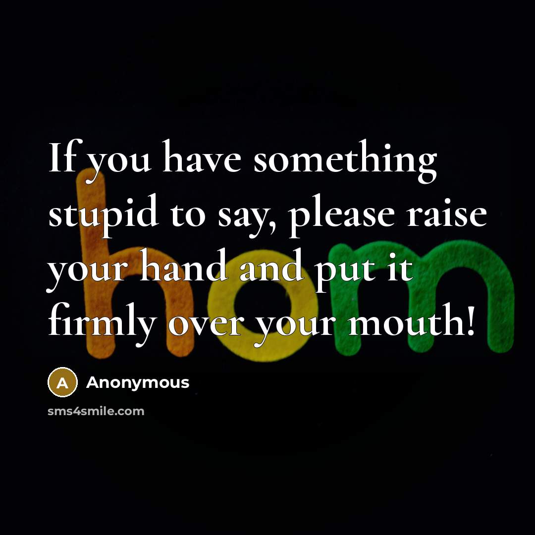 “If you have something stupid to say, please raise your hand and put it firmly over your mouth!” quote by Anonymous