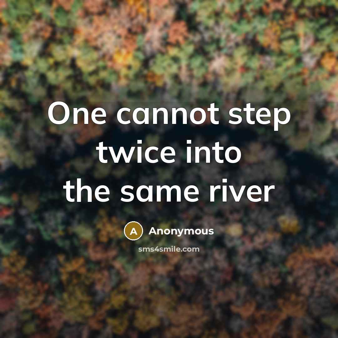 “One cannot step twice into the same river” quote by Anonymous