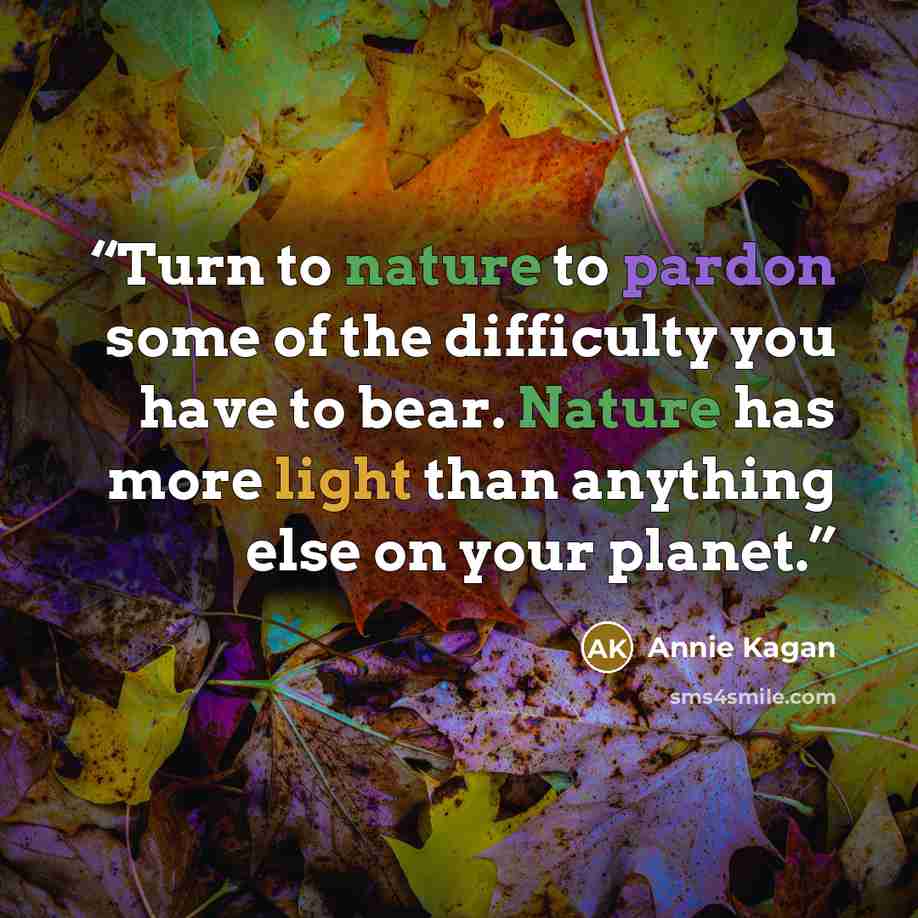 “Turn to nature to pardon some of the difficulty you have to bear. Nature has more light than anything else on your planet.” quote by Annie Kagan