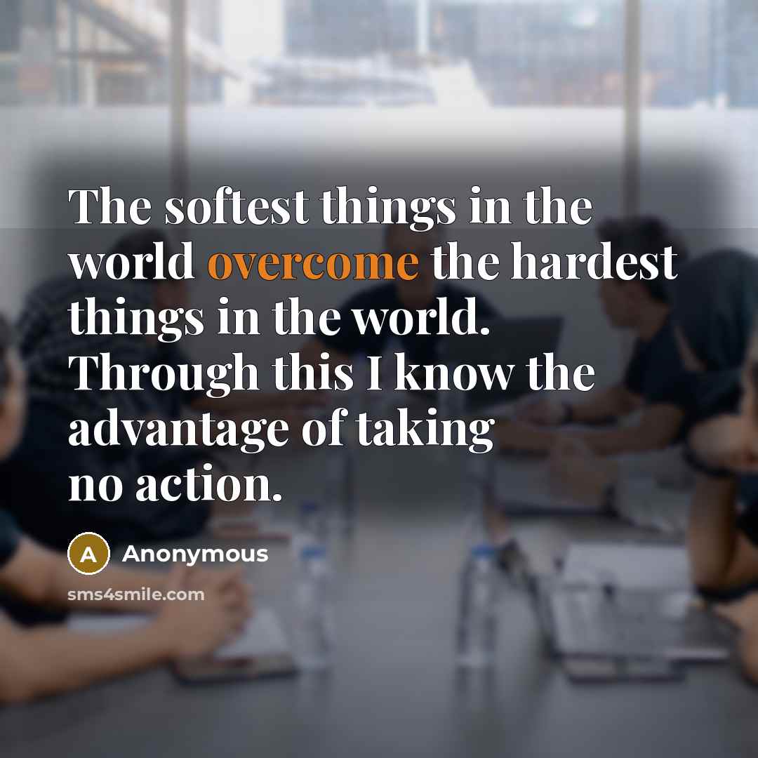 “The softest things in the world overcome the hardest things in the world. Through this I know the advantage of taking no action.” quote by Anonymous