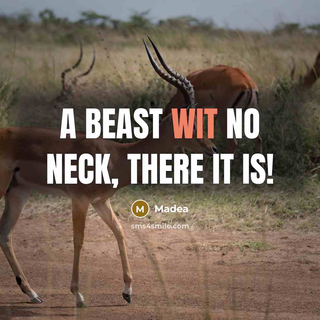 “A beast wit no neck, there it is!” quote by Madea