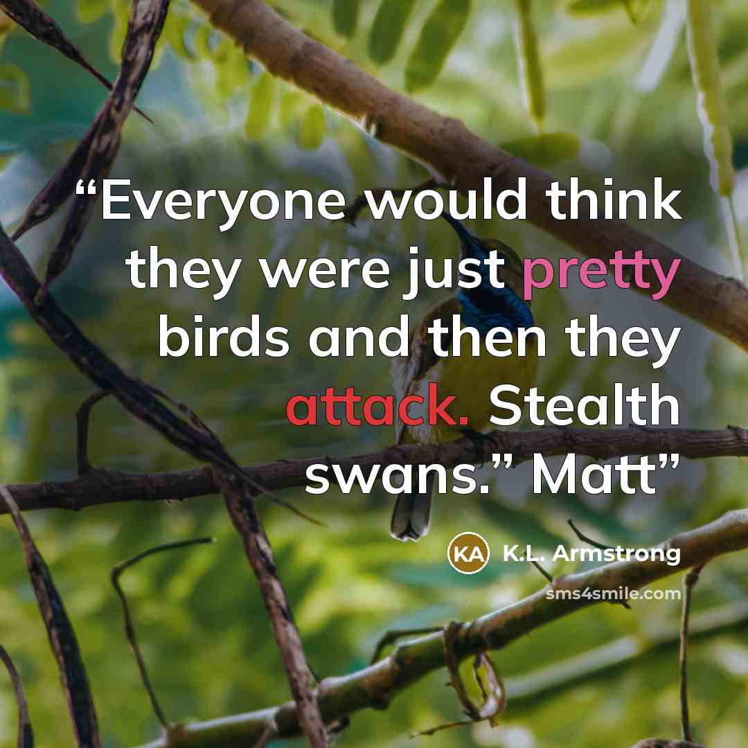 “Everyone would think they were just pretty birds and then they attack. Stealth swans.” Matt” quote by K.L. Armstrong