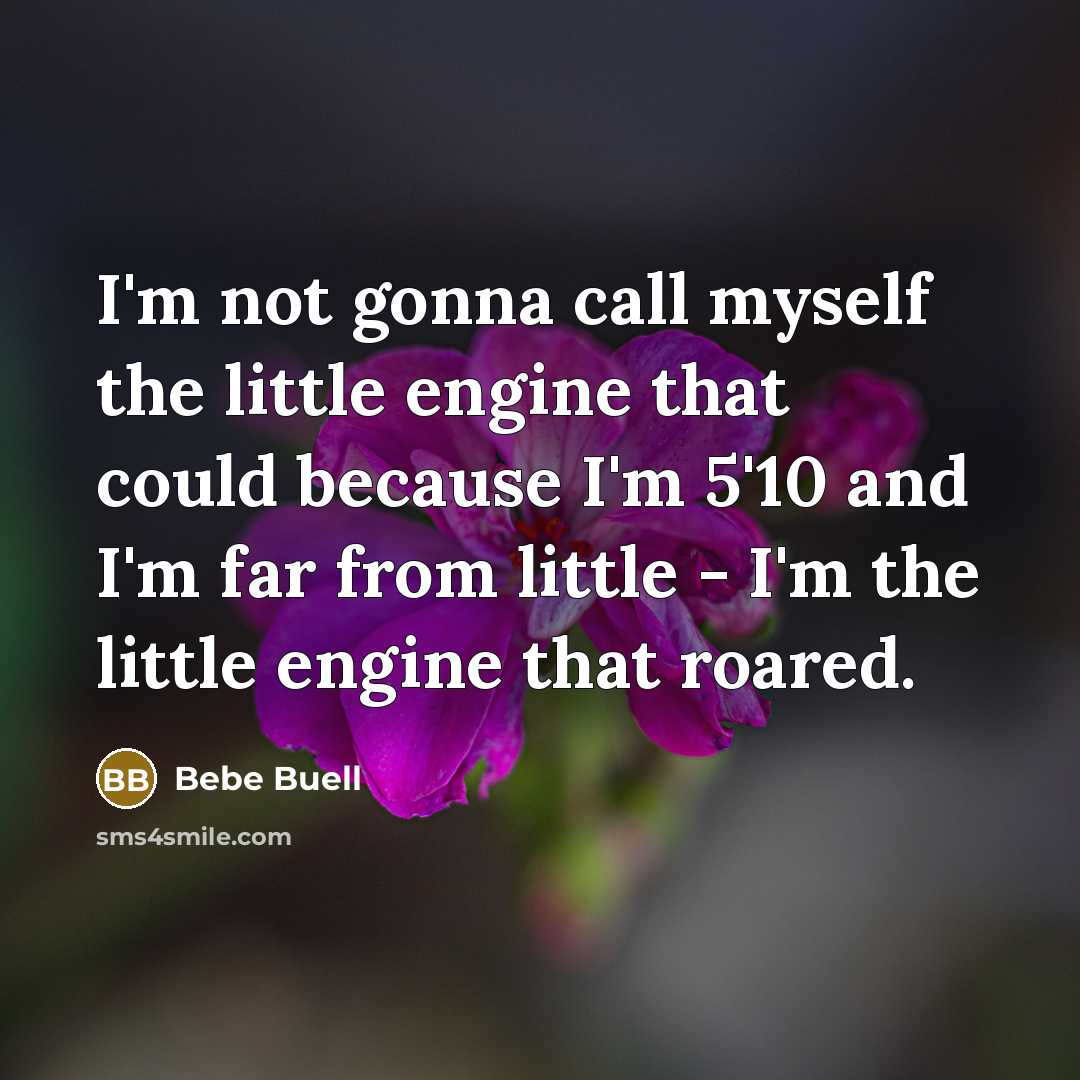 “I'm not gonna call myself the little engine that could because I'm 5'10 and I'm far from little - I'm the little engine that roared.” quote by Bebe Buell