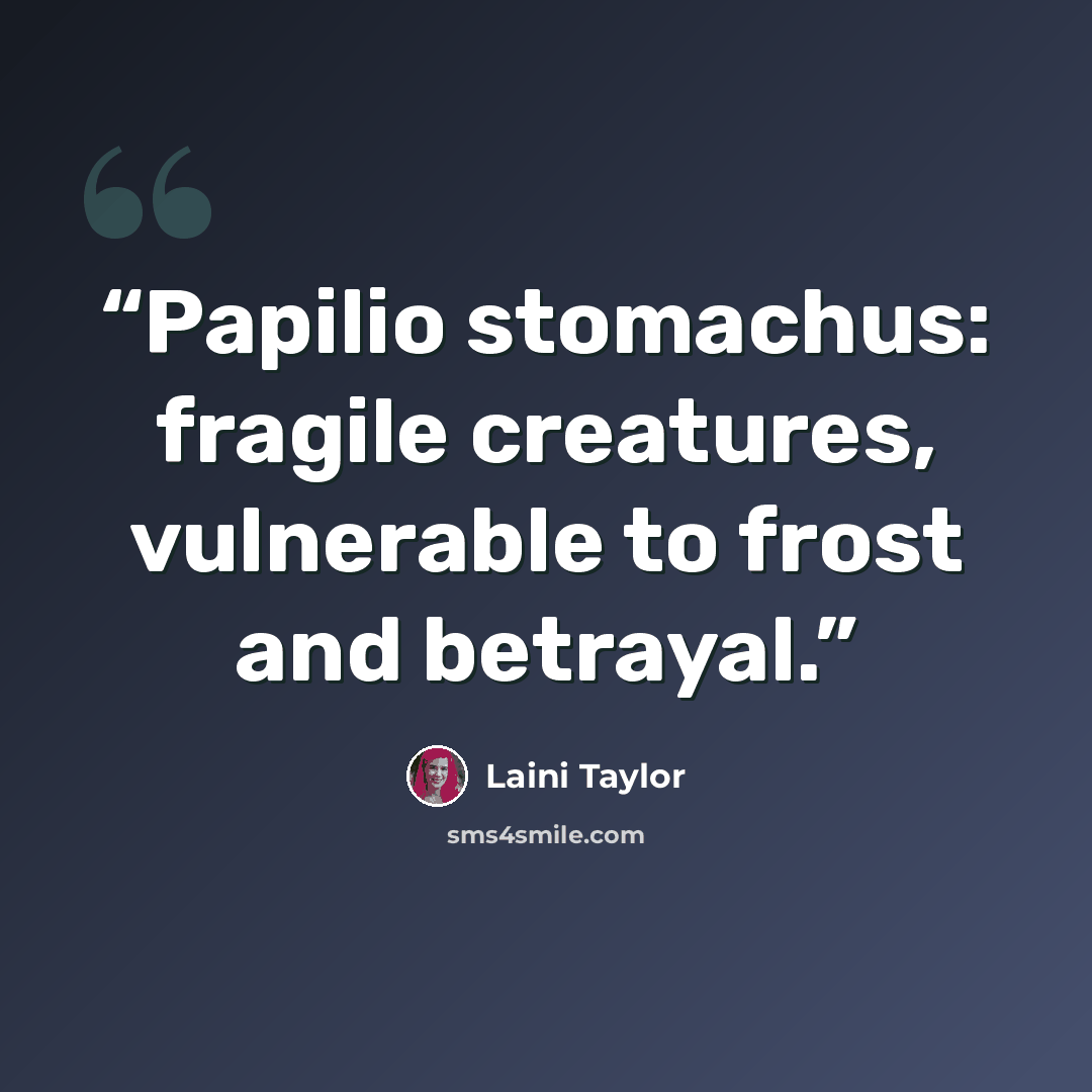 “Papilio stomachus: fragile creatures, vulnerable to frost and betrayal.” quote by Laini Taylor