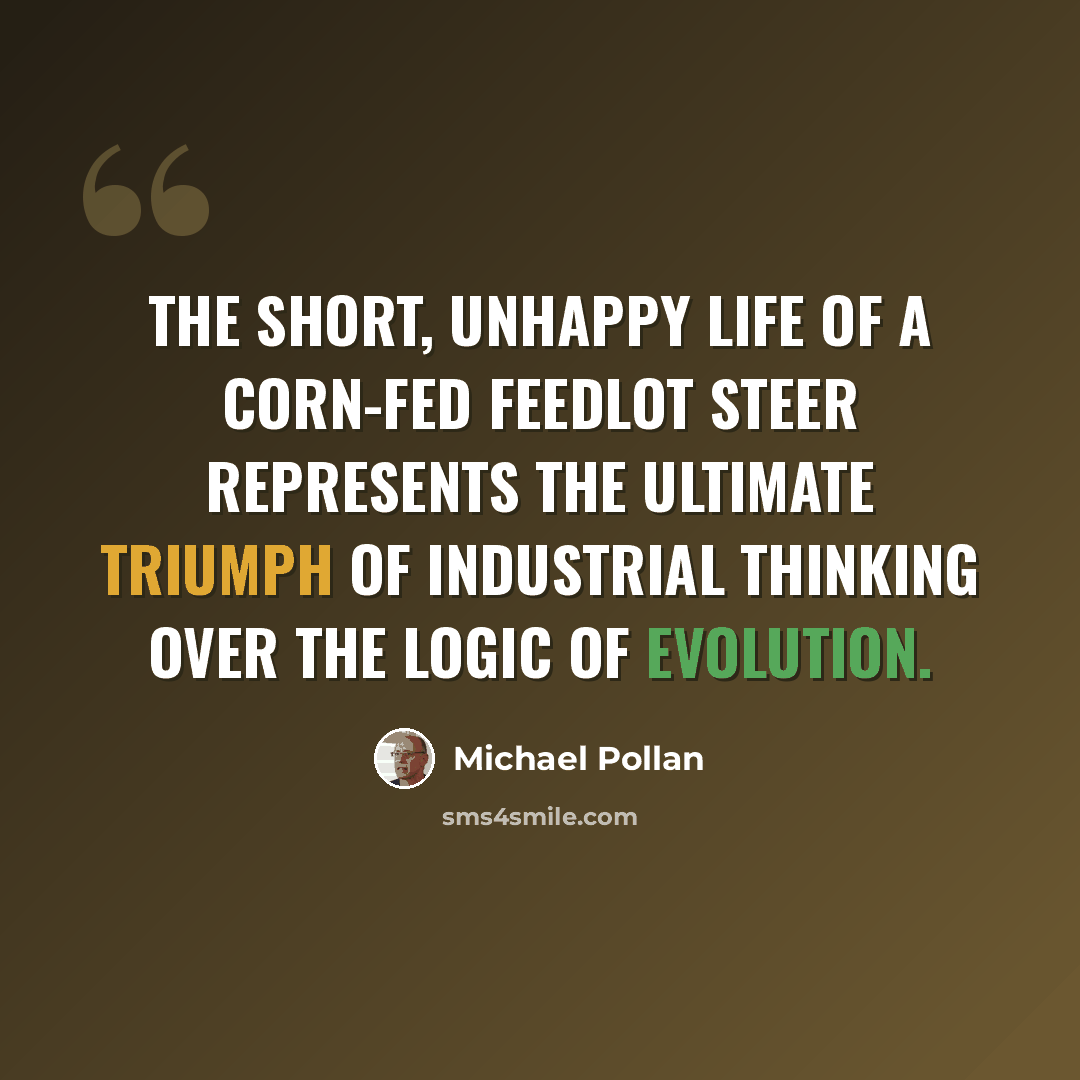 “The short, unhappy life of a corn-fed feedlot steer represents the ultimate triumph of industrial thinking over the logic of evolution.” quote by Michael Pollan