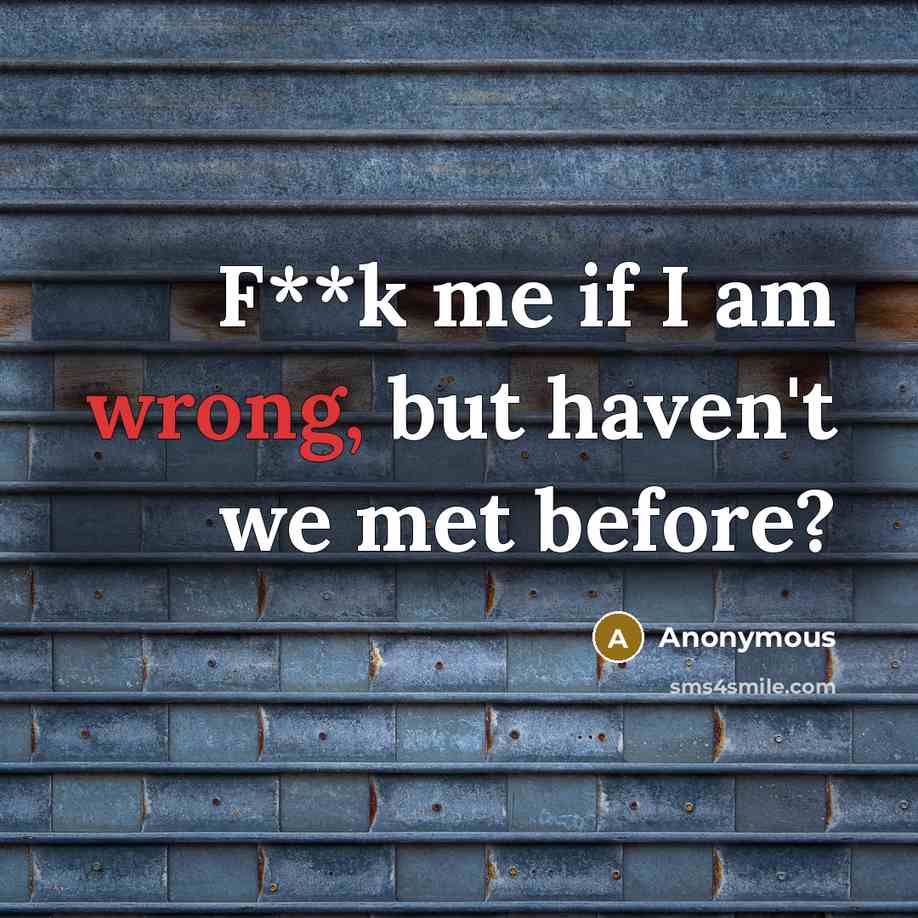 “F**k me if I am wrong, but haven't we met before?” quote by Anonymous
