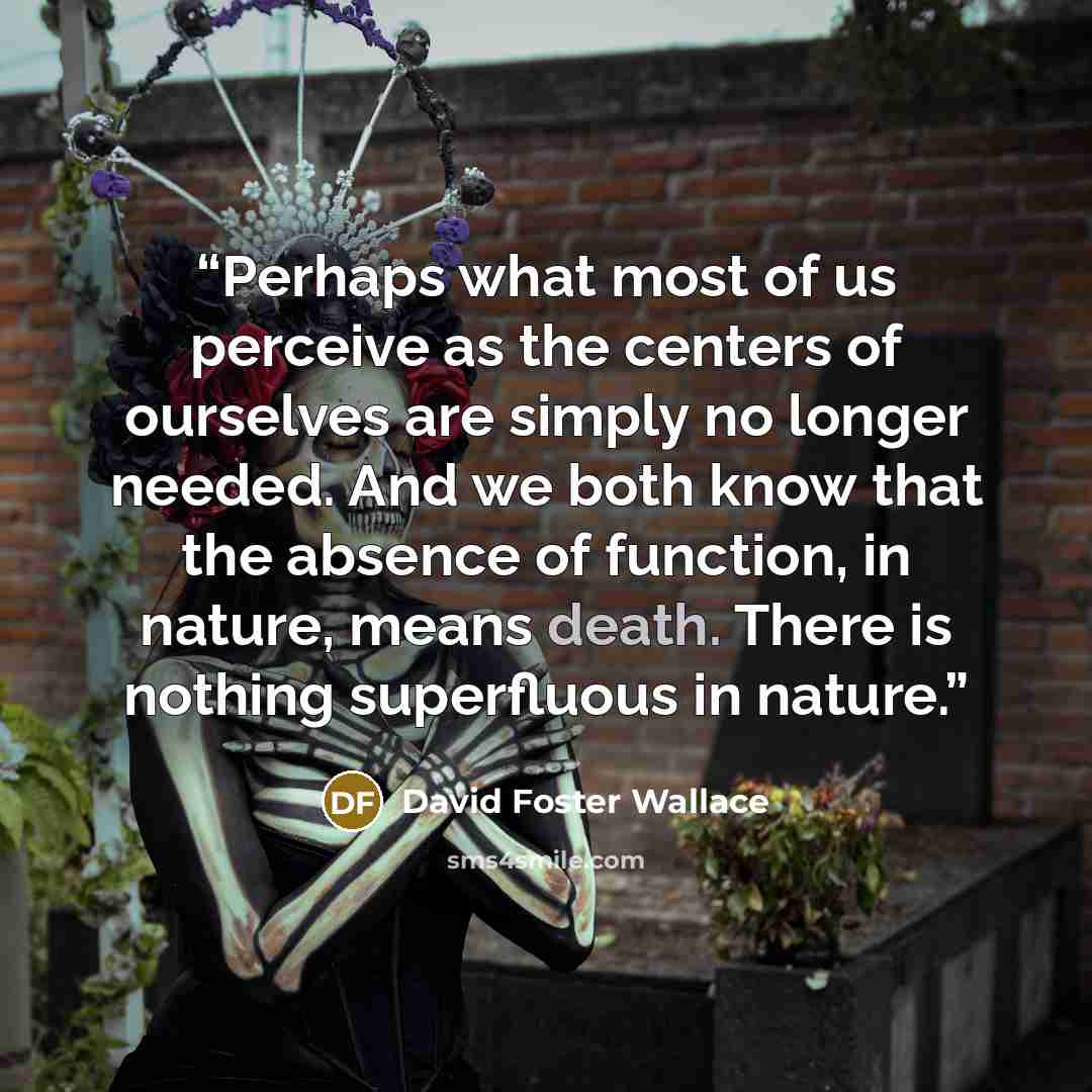 “Perhaps what most of us perceive as the centers of ourselves are simply no longer needed. And we both know that the absence of function, in nature, means death. There is nothing superfluous in nature.” quote by David Foster Wallace