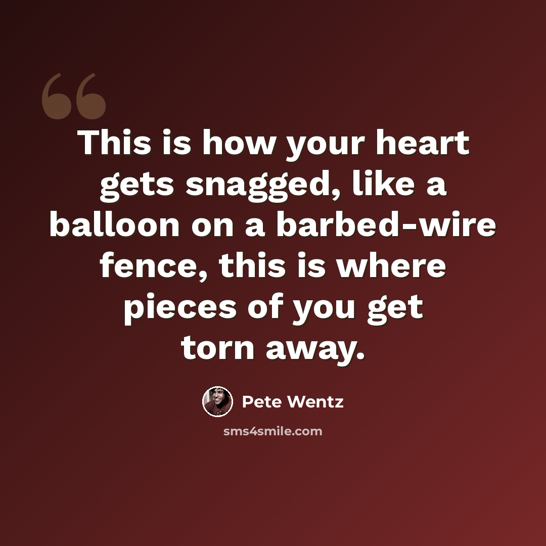 “This is how your heart gets snagged, like a balloon on a barbed-wire fence, this is where pieces of you get torn away.” quote by Pete Wentz