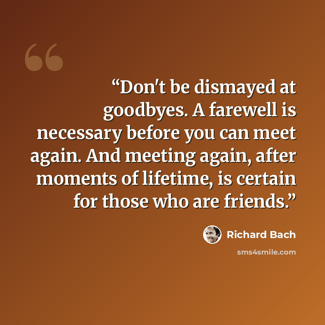 “Don't be dismayed at goodbyes. A farewell is necessary before you can meet again. And meeting again, after moments of lifetime, is certain for those who are friends.” quote by Richard Bach