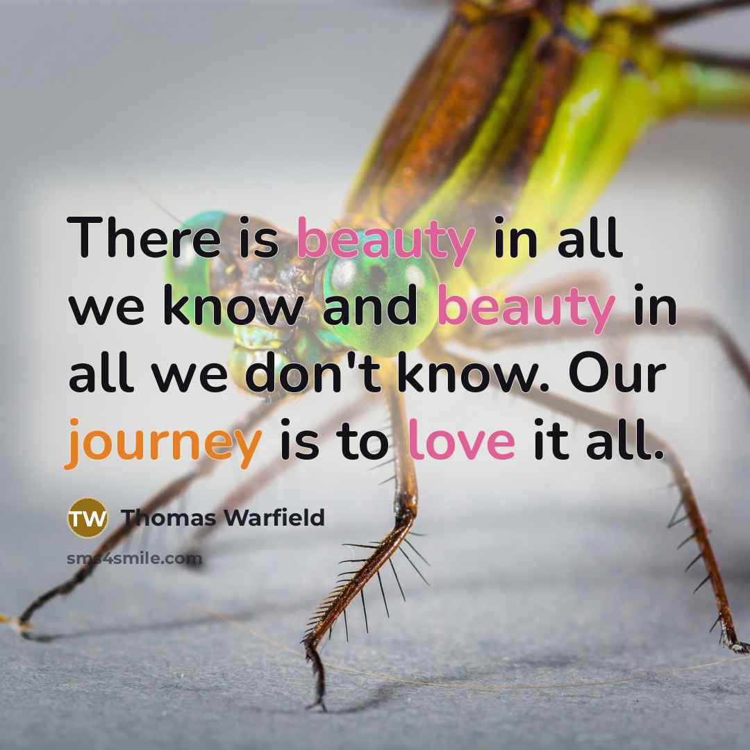 “There is beauty in all we know and beauty in all we don't know. Our journey is to love it all.” quote by Thomas Warfield