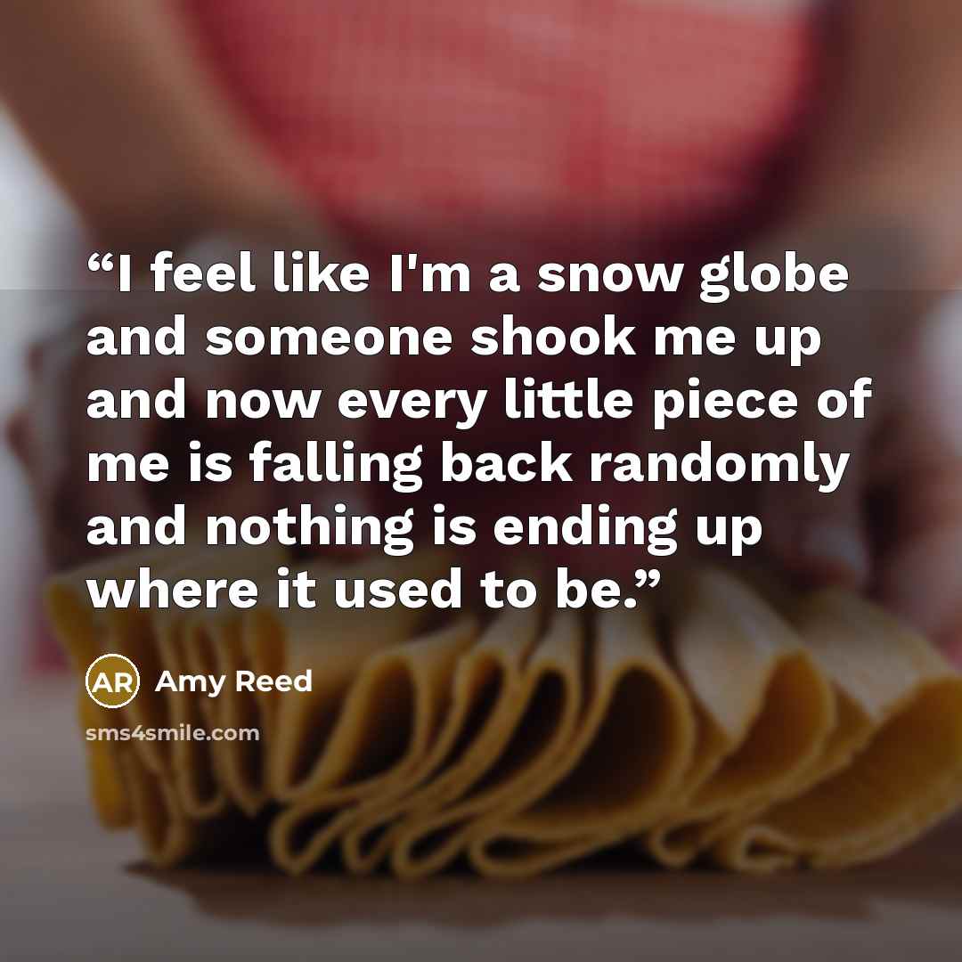 “I feel like I'm a snow globe and someone shook me up and now every little piece of me is falling back randomly and nothing is ending up where it used to be.” quote by Amy Reed