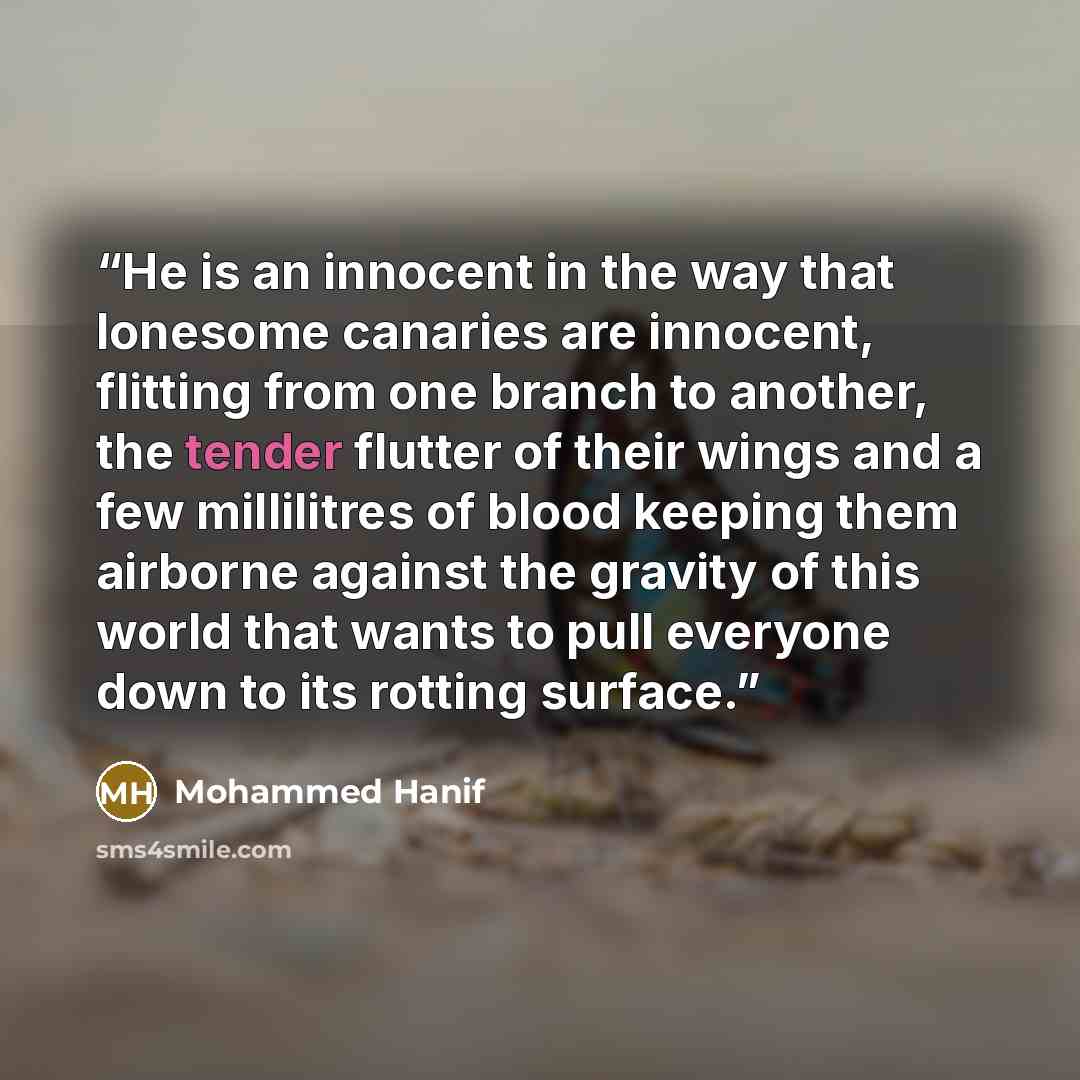 “He is an innocent in the way that lonesome canaries are innocent, flitting from one branch to another, the tender flutter of their wings and a few millilitres of blood keeping them airborne against the gravity of this world that wants to pull everyone down to its rotting surface.” quote by Mohammed Hanif