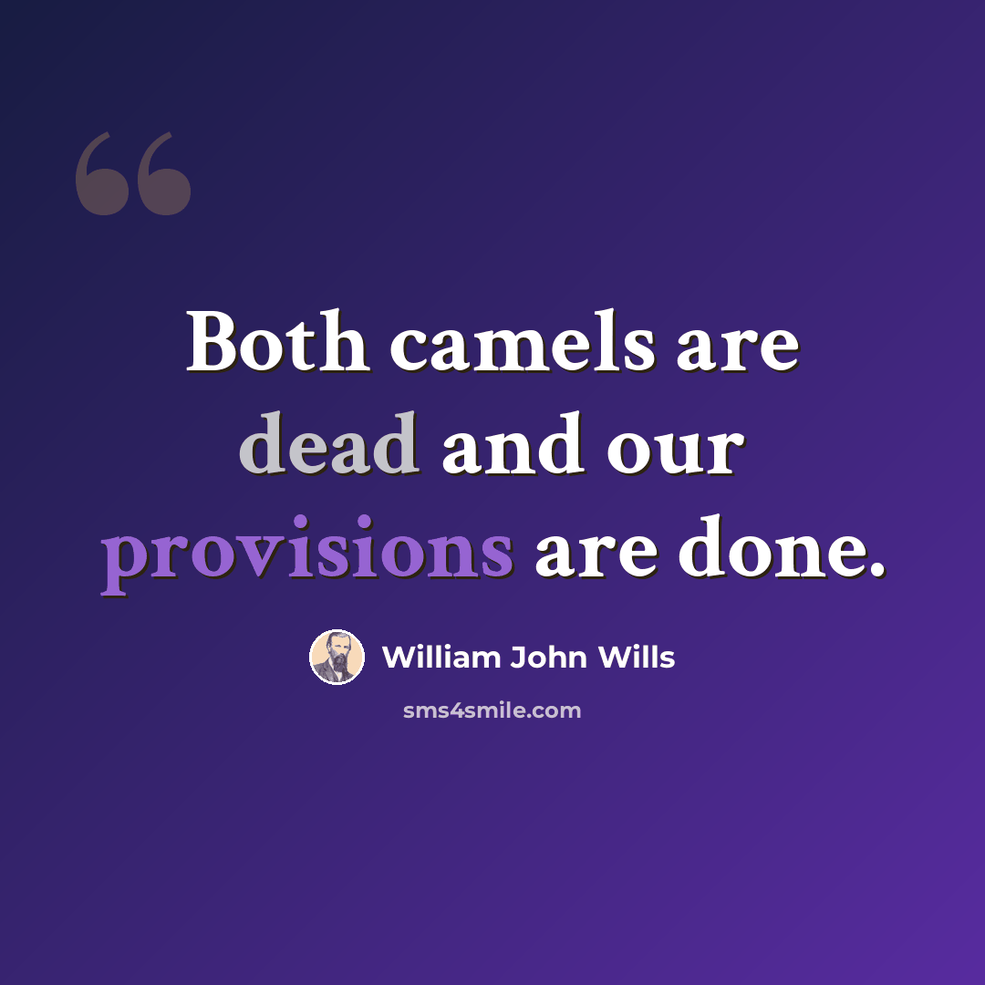 “Both camels are dead and our provisions are done.” quote by William John Wills