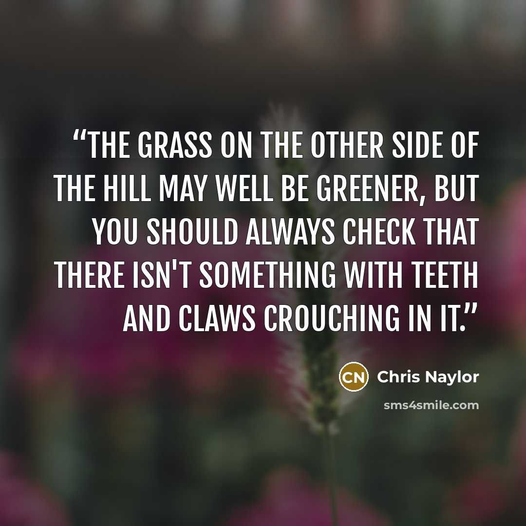“The grass on the other side of the hill may well be greener, but you should always check that there isn't something with teeth and claws crouching in it.” quote by Chris Naylor