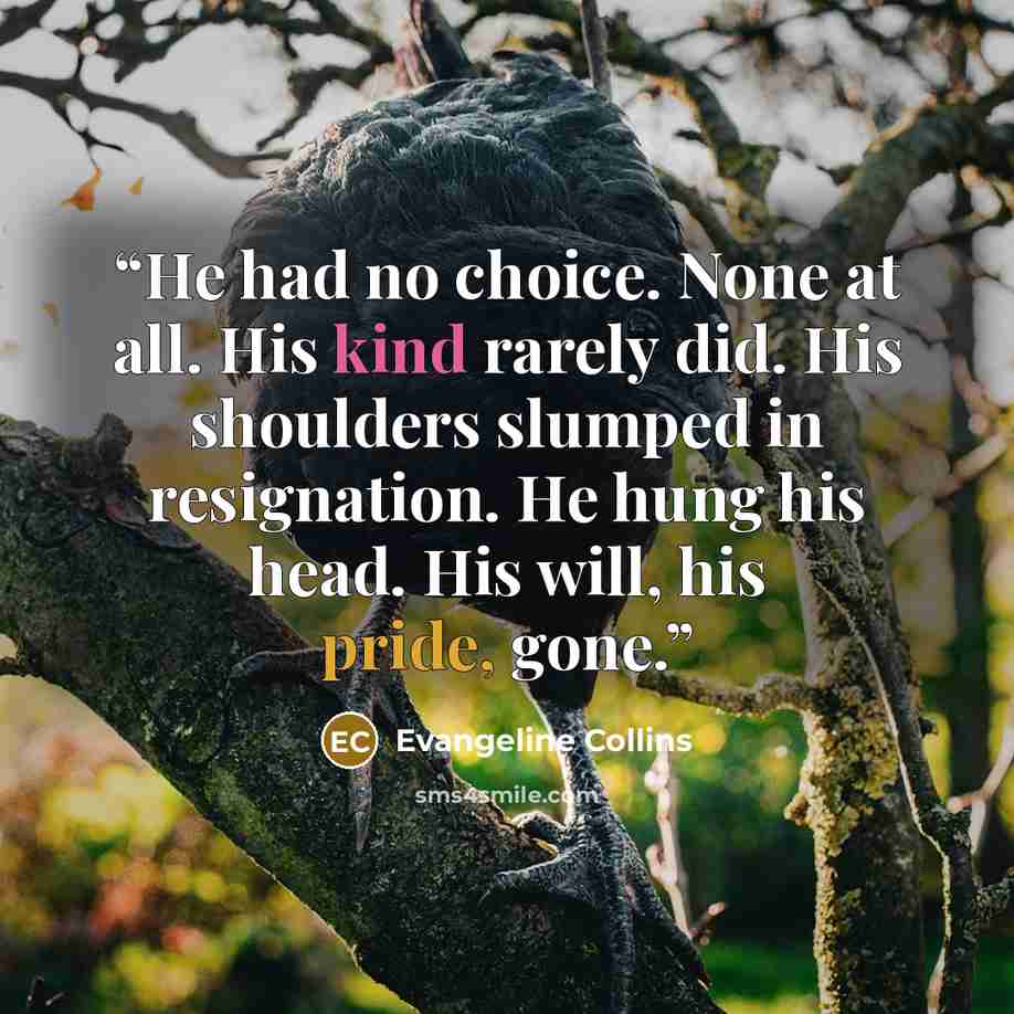“He had no choice. None at all. His kind rarely did. His shoulders slumped in resignation. He hung his head. His will, his pride, gone.” quote by Evangeline Collins