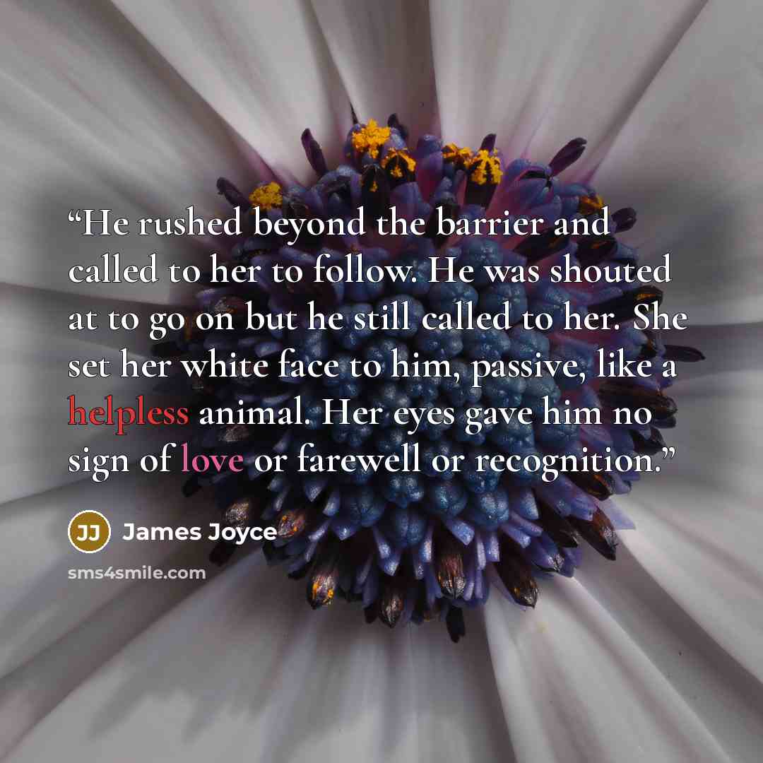 “He rushed beyond the barrier and called to her to follow. He was shouted at to go on but he still called to her. She set her white face to him, passive, like a helpless animal. Her eyes gave him no sign of love or farewell or recognition.” quote by James Joyce