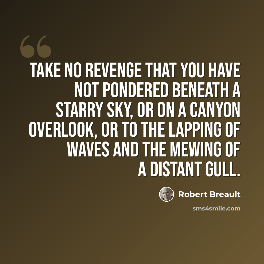 “Take no revenge that you have not pondered beneath a starry sky, or on a canyon overlook, or to the lapping of waves and the mewing of a distant gull.” quote by Robert Breault