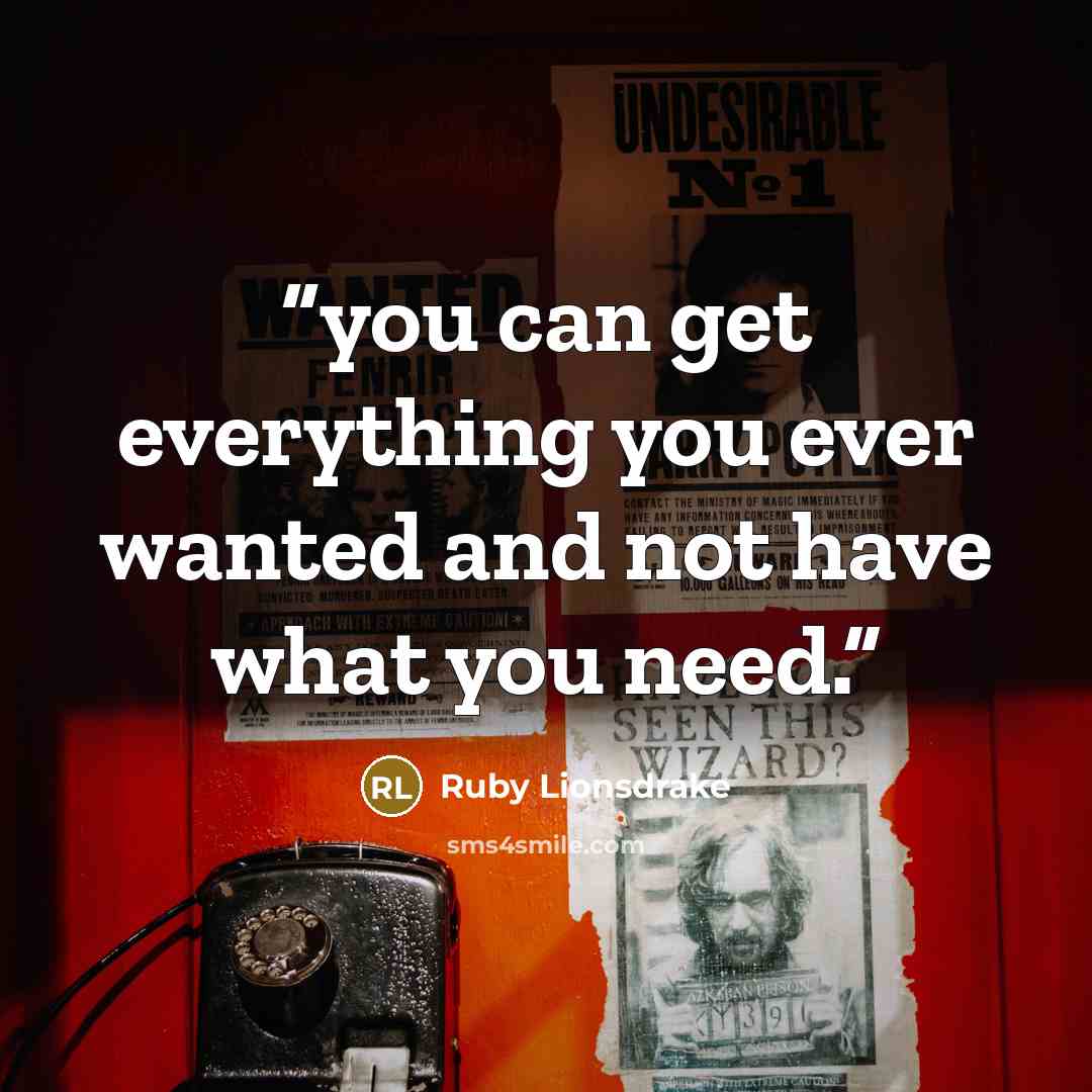 “you can get everything you ever wanted and not have what you need.” quote by Ruby Lionsdrake