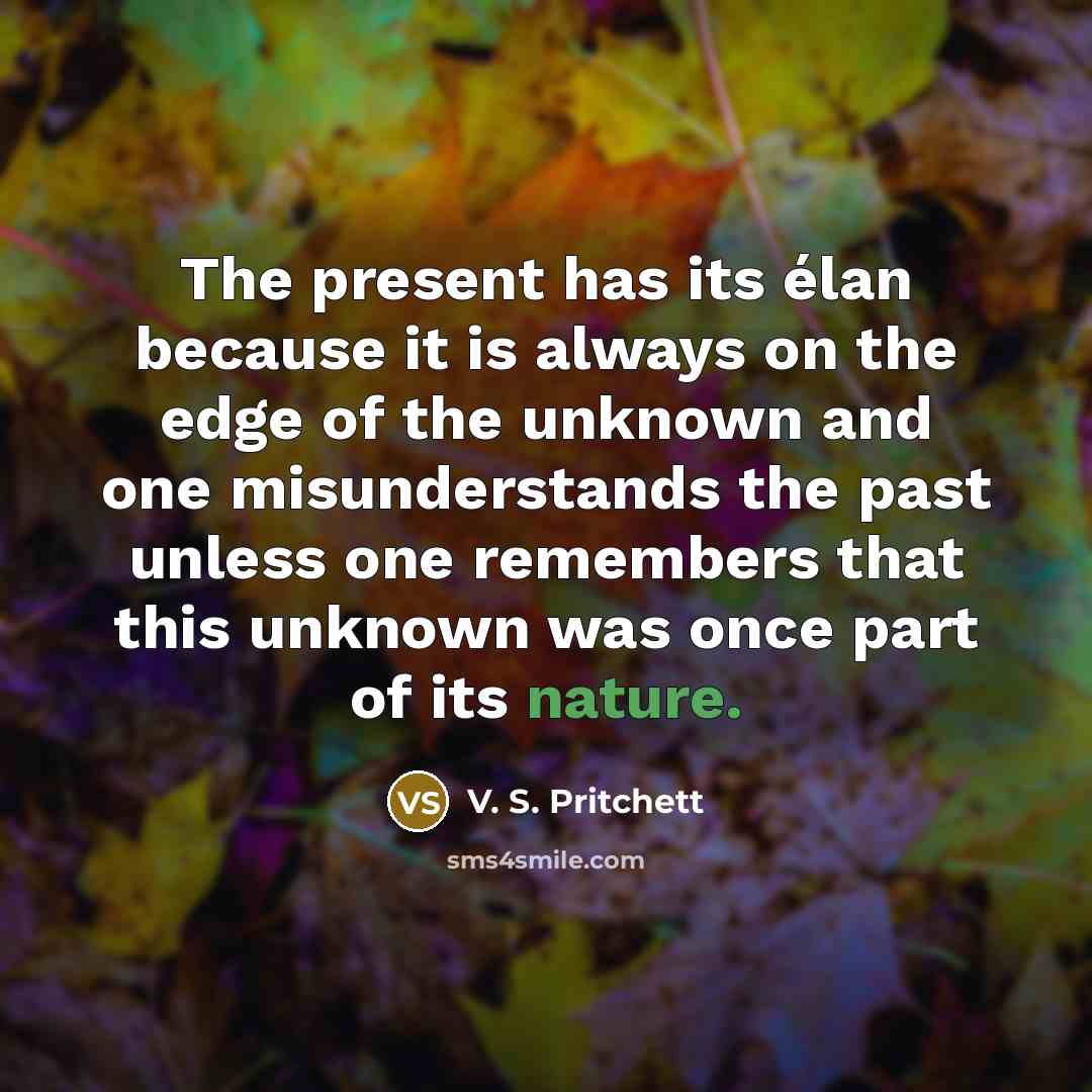 “The present has its élan because it is always on the edge of the unknown and one misunderstands the past unless one remembers that this unknown was once part of its nature.” quote by V. S. Pritchett