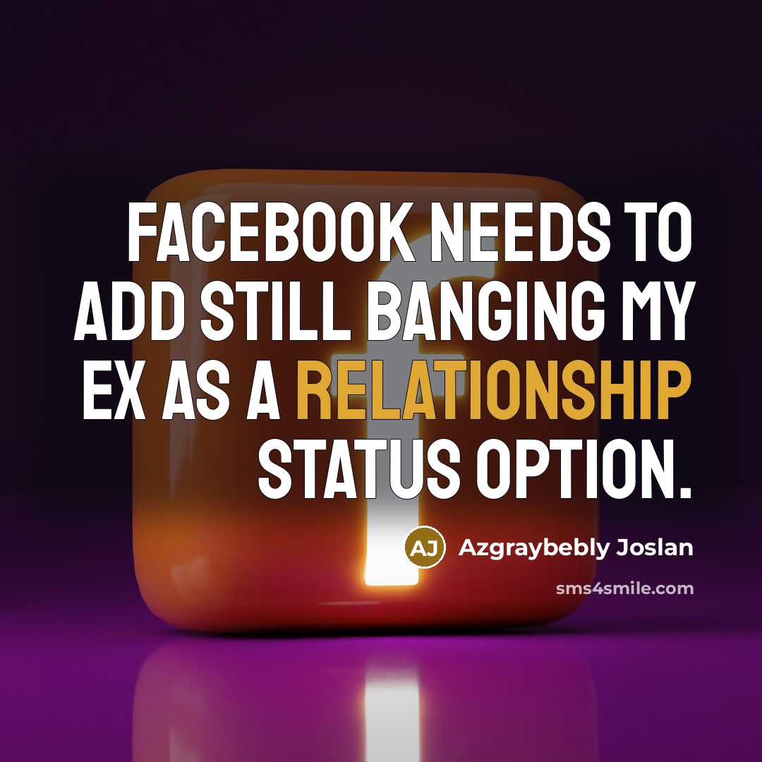 “Facebook needs to add still banging my ex as a relationship status option.” quote by Azgraybebly Joslan