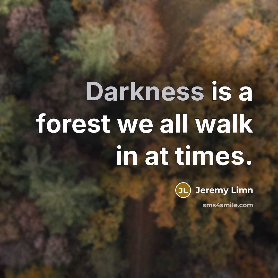 “Darkness is a forest we all walk in at times.” quote by Jeremy Limn
