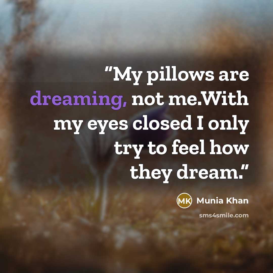 “My pillows are dreaming, not me.With my eyes closed I only try to feel how they dream.” quote by Munia Khan