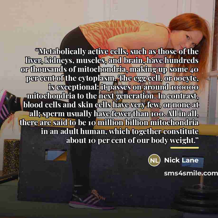 “Metabolically active cells, such as those of the liver, kidneys, muscles, and brain, have hundreds or thousands of mitochondria, making up some 40 per cent of the cytoplasm. The egg cell, or oocyte, is exceptional: it passes on around 100000 mitochondria to the next generation. In contrast, blood…” quote by Nick Lane
