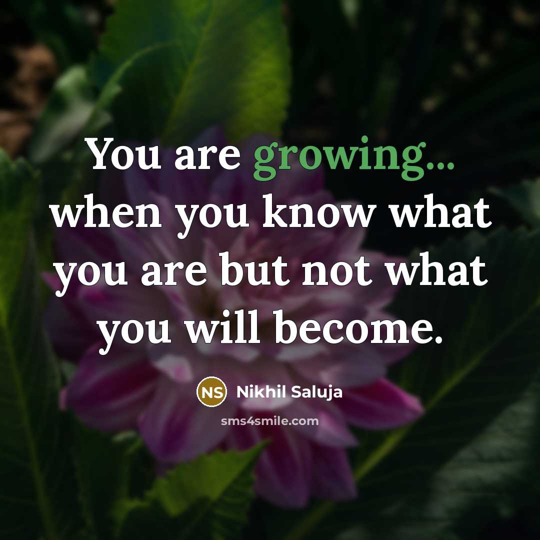 “You are growing... when you know what you are but not what you will become.” quote by Nikhil Saluja