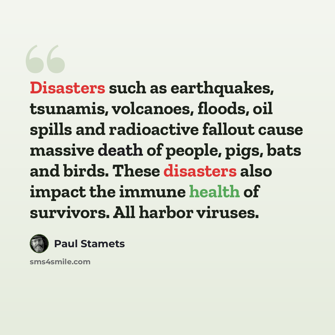 “Disasters such as earthquakes, tsunamis, volcanoes, floods, oil spills and radioactive fallout cause massive death of people, pigs, bats and birds. These disasters also impact the immune health of survivors. All harbor viruses.” quote by Paul Stamets