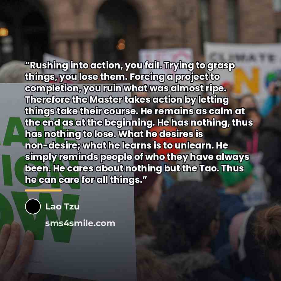 “Rushing into action, you fail. Trying to grasp things, you lose them. Forcing a project to completion, you ruin what was almost ripe. Therefore the Master takes action by letting things take their course. He remains as calm at the end as at the beginning. He has nothing, thus has nothing to lose…” quote by Lao Tzu