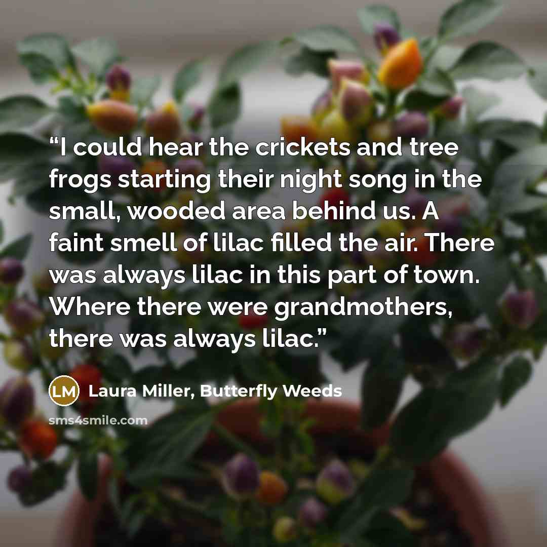 “I could hear the crickets and tree frogs starting their night song in the small, wooded area behind us. A faint smell of lilac filled the air. There was always lilac in this part of town. Where there were grandmothers, there was always lilac.” quote by Laura Miller, Butterfly Weeds