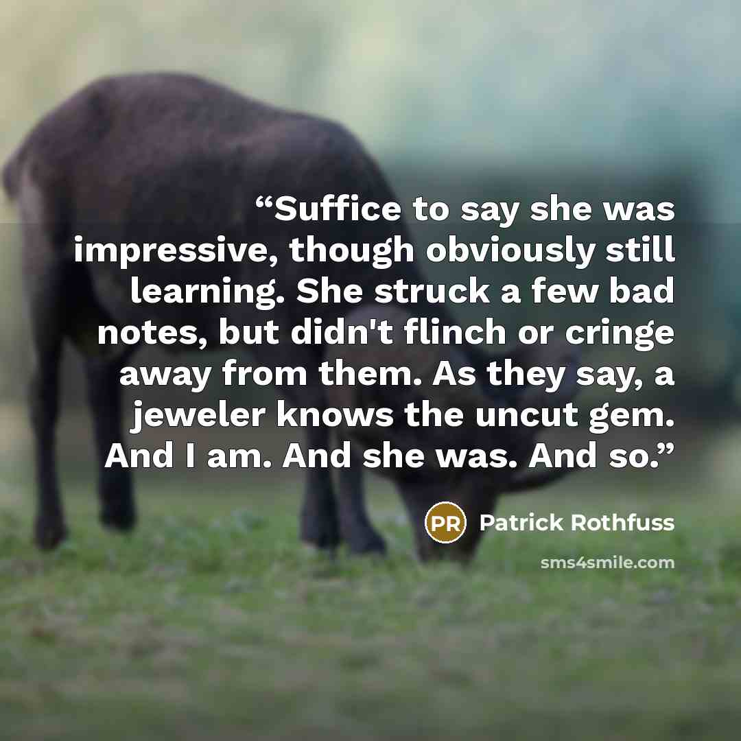 “Suffice to say she was impressive, though obviously still learning. She struck a few bad notes, but didn't flinch or cringe away from them. As they say, a jeweler knows the uncut gem. And I am. And she was. And so.” quote by Patrick Rothfuss