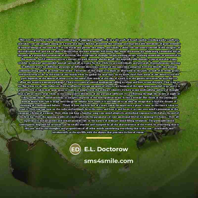 “But now I speculate re the ants' invisible organ of aggregate thought... if, in a city park of broad reaches, winding paths, roadways, and lakes, you can imagine seeing on a warm and sunny Sunday afternoon the random and unpredictable movement of great numbers of human beings in the same way... if…” quote by E.L. Doctorow