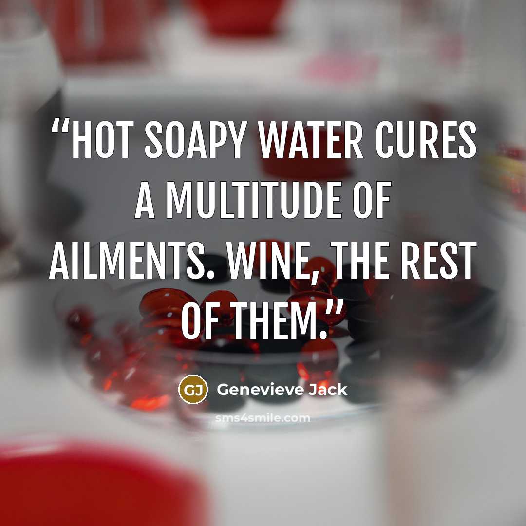 “Hot soapy water cures a multitude of ailments. Wine, the rest of them.” quote by Genevieve Jack