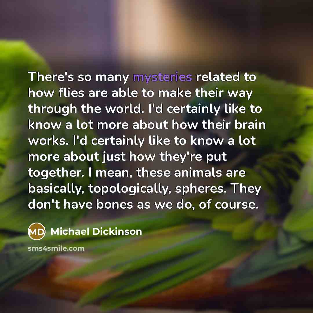 “There's so many mysteries related to how flies are able to make their way through the world. I'd certainly like to know a lot more about how their brain works. I'd certainly like to know a lot more about just how they're put together. I mean, these animals are basically, topologically, spheres…” quote by Michael Dickinson