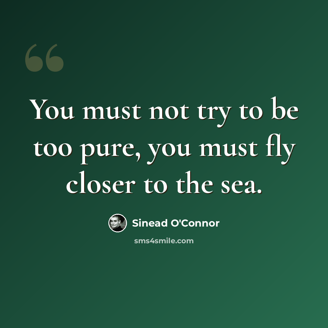 “You must not try to be too pure, you must fly closer to the sea.” quote by Sinead O'Connor