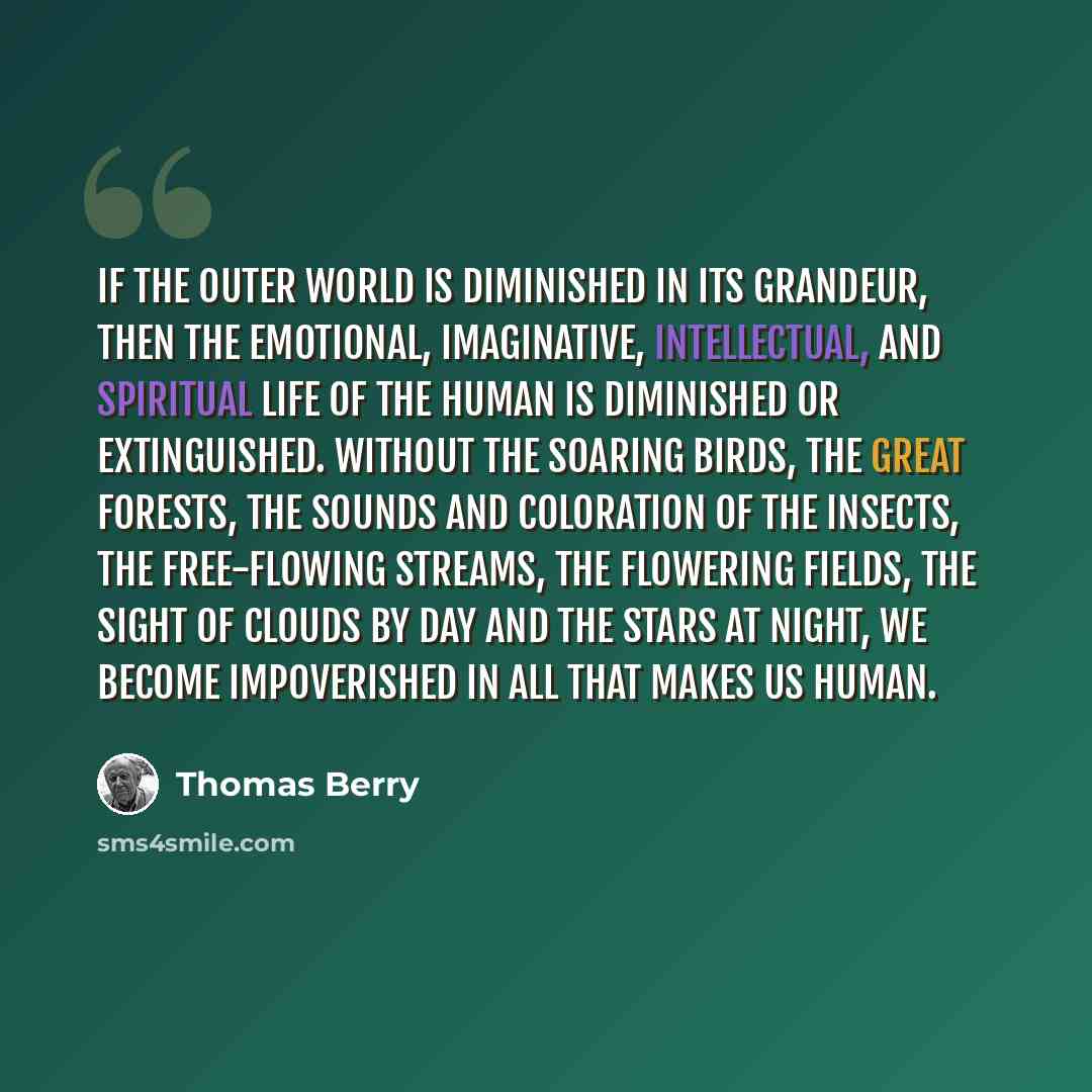 “If the outer world is diminished in its grandeur, then the emotional, imaginative, intellectual, and spiritual life of the human is diminished or extinguished. Without the soaring birds, the great forests, the sounds and coloration of the insects, the free-flowing streams, the flowering fields…” quote by Thomas Berry